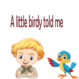 idioms- A little birdy told me